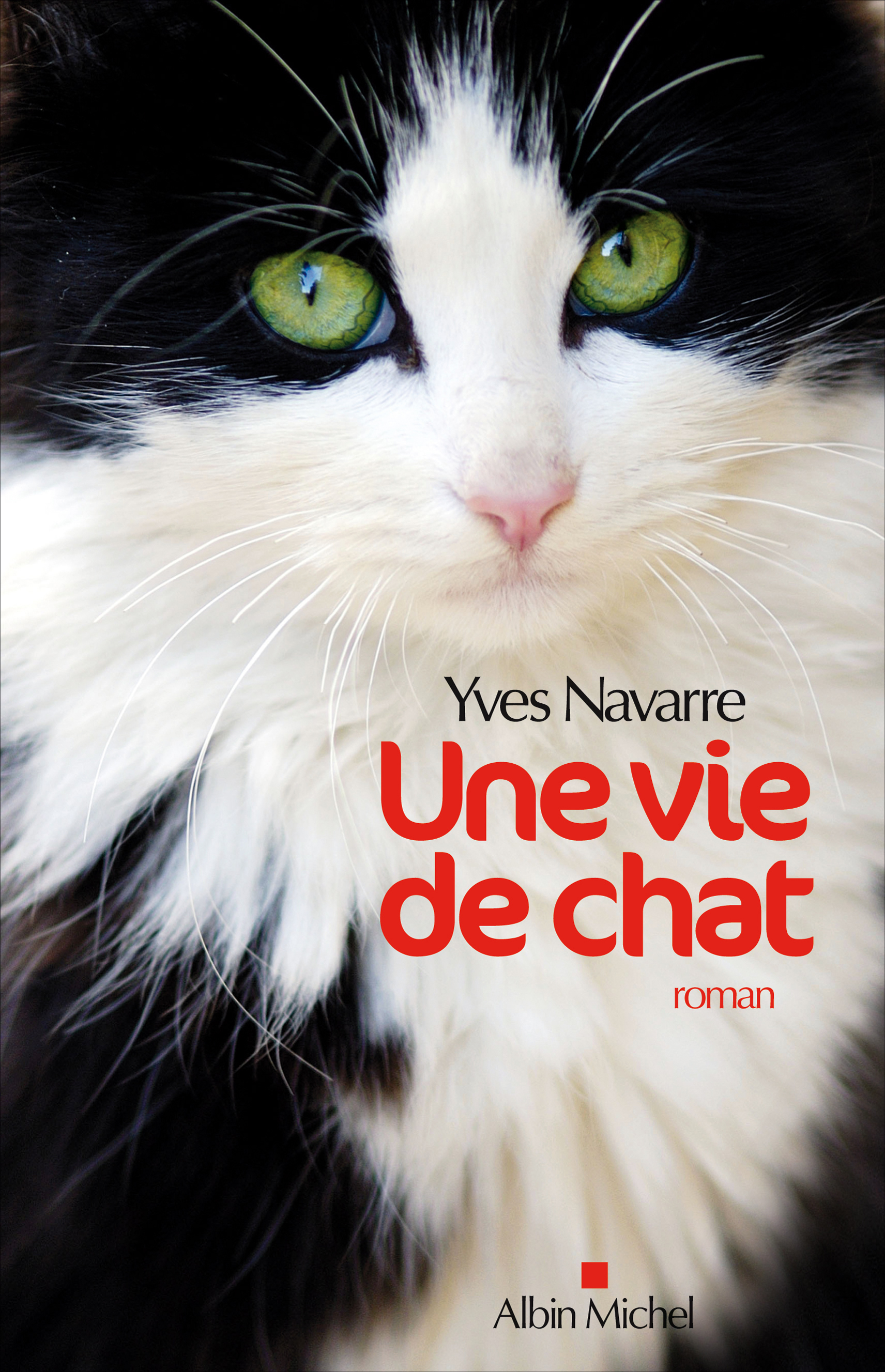 Image de l'objet &laquo; VIE DE CHAT (UNE) &raquo;