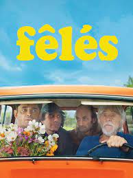 Image de l'objet « FELES - DVD N°95 »