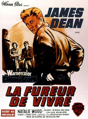 Image de l'objet « LA FUREUR DE VIVRE - DVD N°2201 »