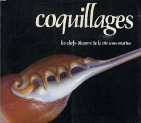 Image de l'objet &laquo; COQUILLAGES , CHEFS D'OEUVRES DE LA VIE SOUS-MARINE (LES) &raquo;