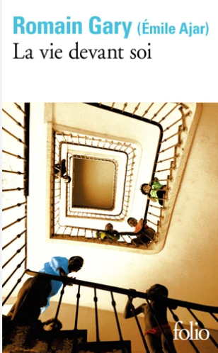 Image de l'objet « VIE DEVANT SOI (LA) »