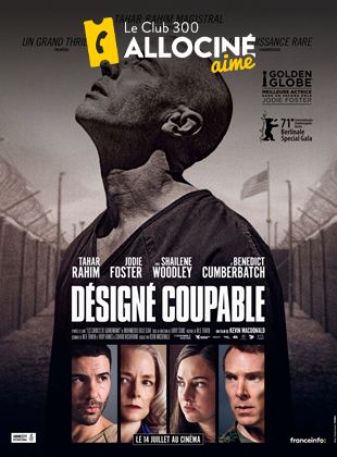 Image de l'objet « DESIGNE COUPABLE - DVD N°361 »
