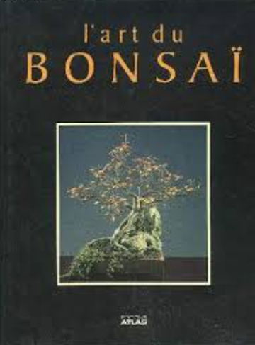Image de l'objet &laquo; ART DU BONSAI (L') &raquo;