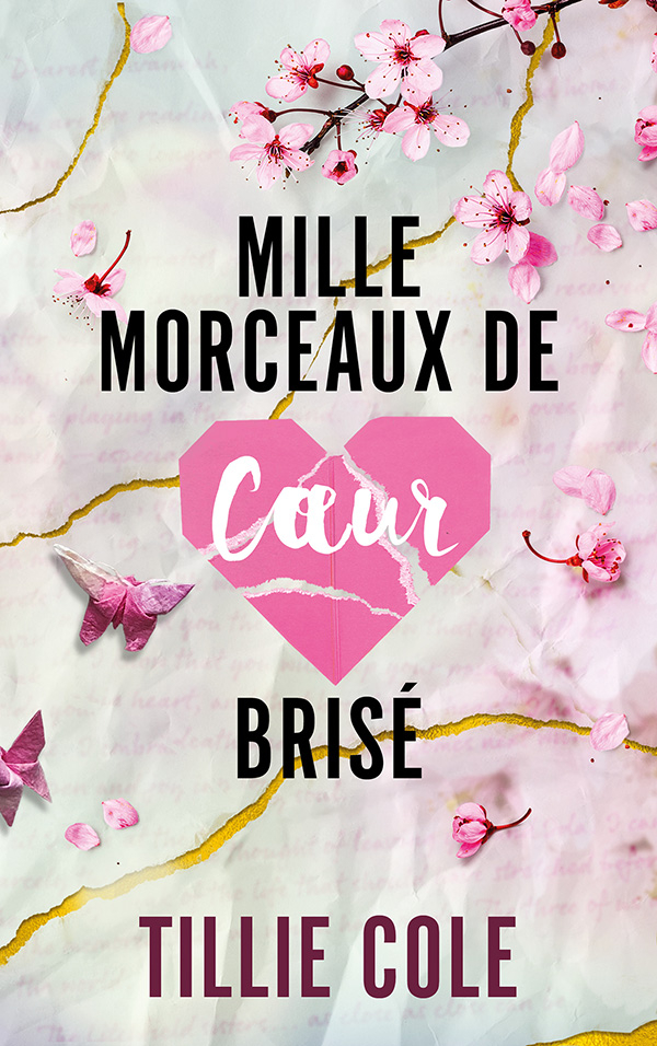 Image de l'objet &laquo; MILLE MORCEAUX DE COEUR BRISE &raquo;