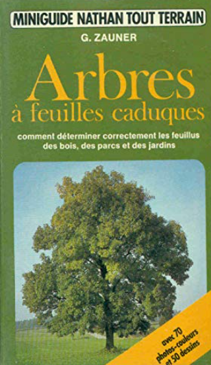 Image de l'objet &laquo; ARBRES A FEUILLES CADUQUES &raquo;