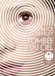 Image de l'objet « TOMBEE DU CIEL »