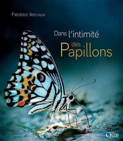 Image de l'objet &laquo; DANS L'INTIMITE DES PAPILLONS &raquo;