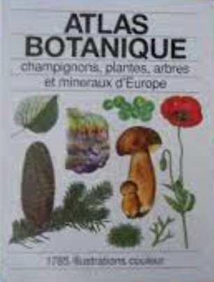 Image de l'objet &laquo; ATLAS BOTANIQUE &raquo;