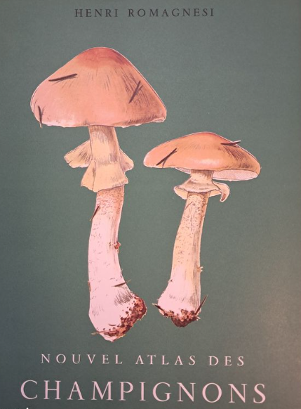 Image de l'objet &laquo; NOUVEL ATLAS DES CHAMPIGNONS TOME 3 &raquo;