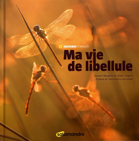 Image de l'objet &laquo; MA VIE DE LIBELLULE &raquo;