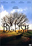 Image de l'objet « BIG FISH - DVD N°2196 »
